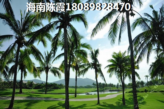 锦轩江南户型图