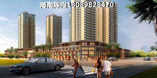 兰海·美丽新海岸买房