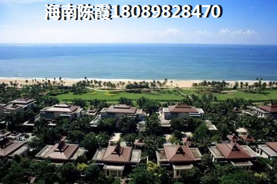 海棠中央怎么样