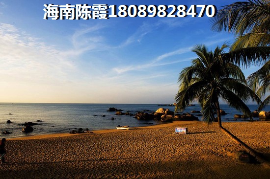 三亚东岸假日生纸因素分析