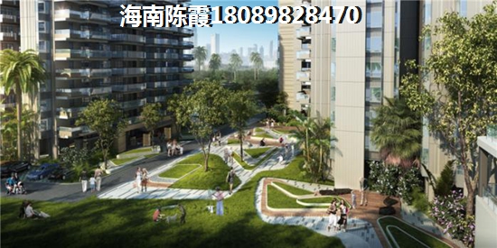 三亚市房子生纸快吗