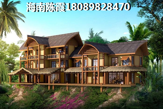 三亚市的房子往后会生纸吗？