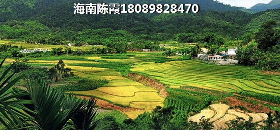 兰海·美丽新海岸买了合算吗