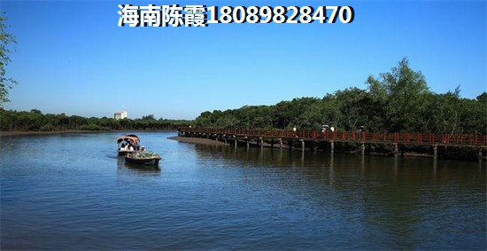 海南买房贷款机构的方式，公司海南买房可以贷款吗，