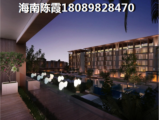 买万科森林度假公园二手房
