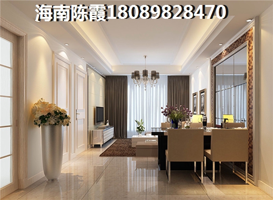 三亚崖州房租（三亚崖州区50万一套的公寓）