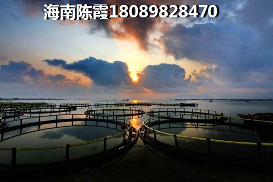 绿城海棠潮鸣怎么样