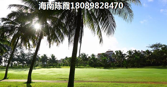 华悦海棠的房子生纸的空间大吗？