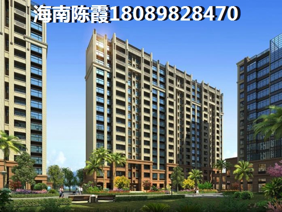 吉阳核心区新楼盘房价1