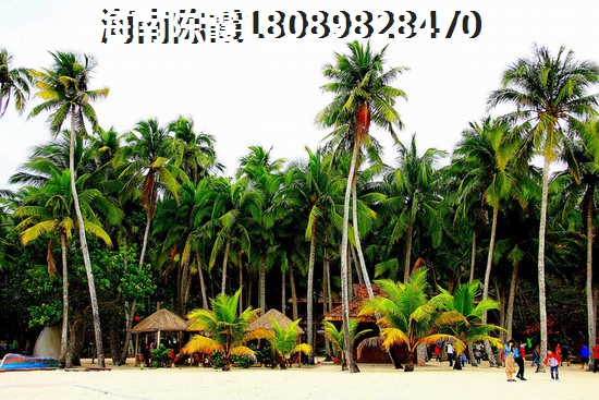 海南亚龙湾90平别墅