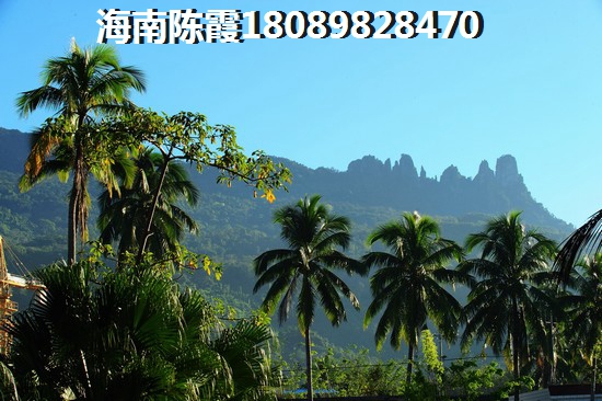 在三亚天涯区新城路买房子