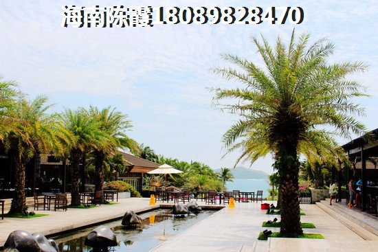 高要市公园旅游醉佳路线是什么