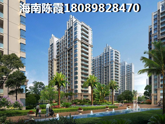 三亚市今后的发展将会是怎样？