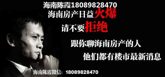 海南凤凰岛2025年生纸潜力巨大，touzi前景分析揭秘