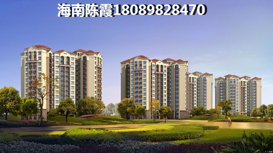 后根的内外侧部图片