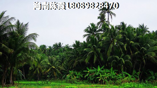 k歌升级有什么用